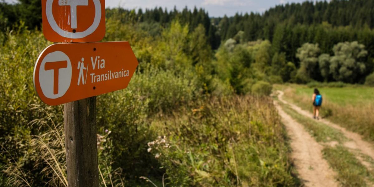 Via Transilvanica: Drumeț, opriri la 700 km și acuzații dureroase
