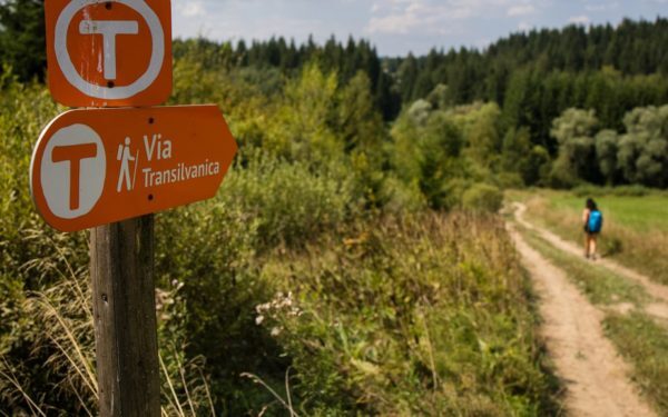 Via Transilvanica: Drumeț, opriri la 700 km și acuzații dureroase