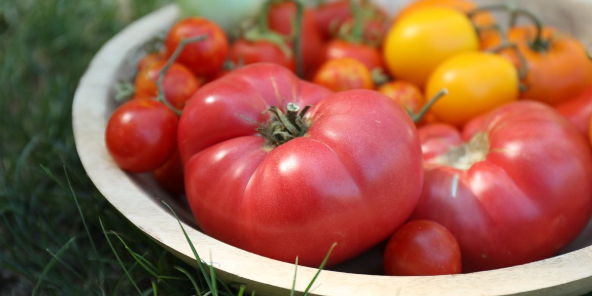 August: Roșii mai gustoase cu sfatul lui Monty Don