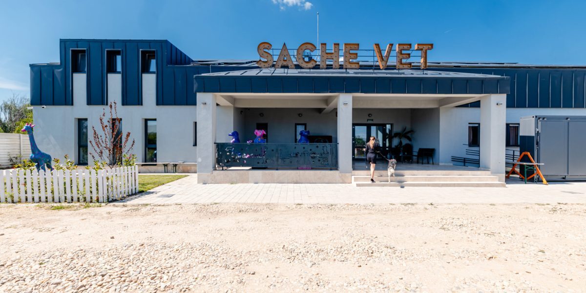 Spital veterinar social, la o oră de București, salvează 5.000 de animale