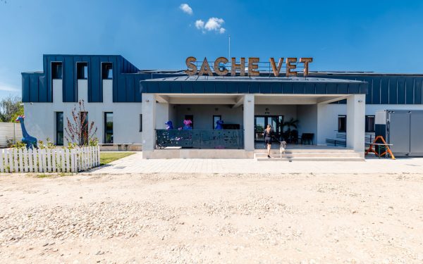 Spital veterinar social, la o oră de București, salvează 5.000 de animale