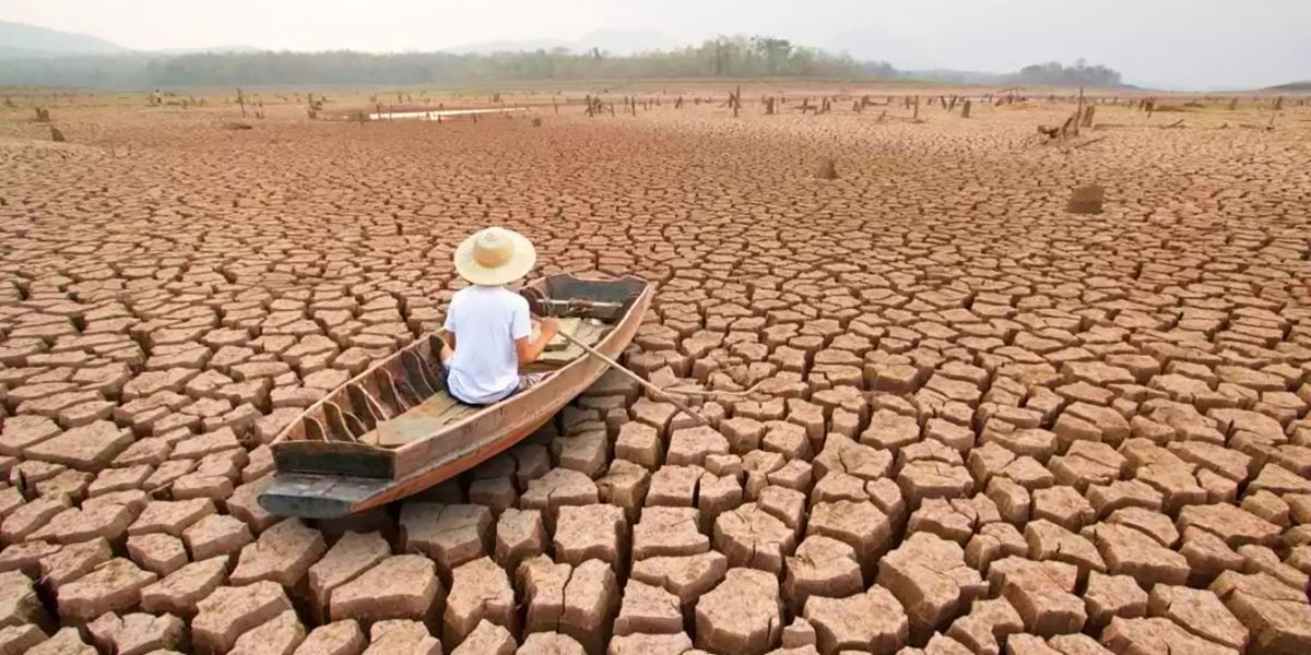 Tropicele se schimbă radical: 3,3 milioane de ani, comprimate în decenii