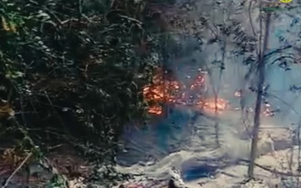 Incendiu Pădure Plauru: Dronele, „cauza cea mai probabilă”