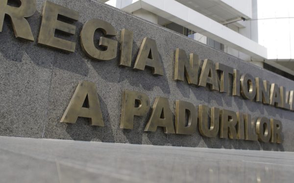 ANAP: Romsilva, achiziții masive fără licitație în 2025. Motivul: 82% din cazuri