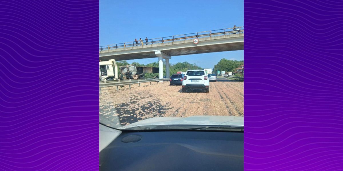 TIR cu carne de pui, dezastru pe A1 București-Pitești