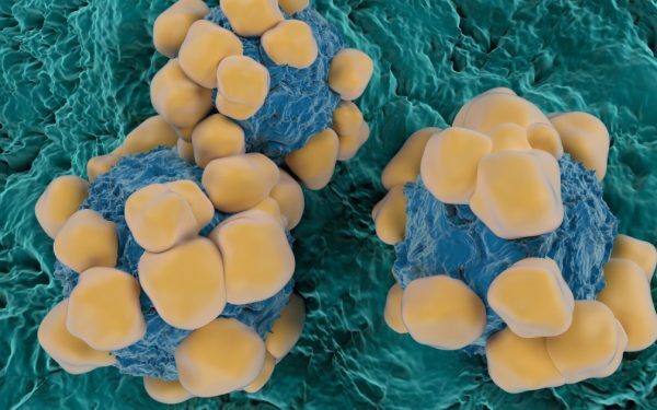 Viagra, adjuvant anti-cancer: O nouă speranță în lupta cu boala