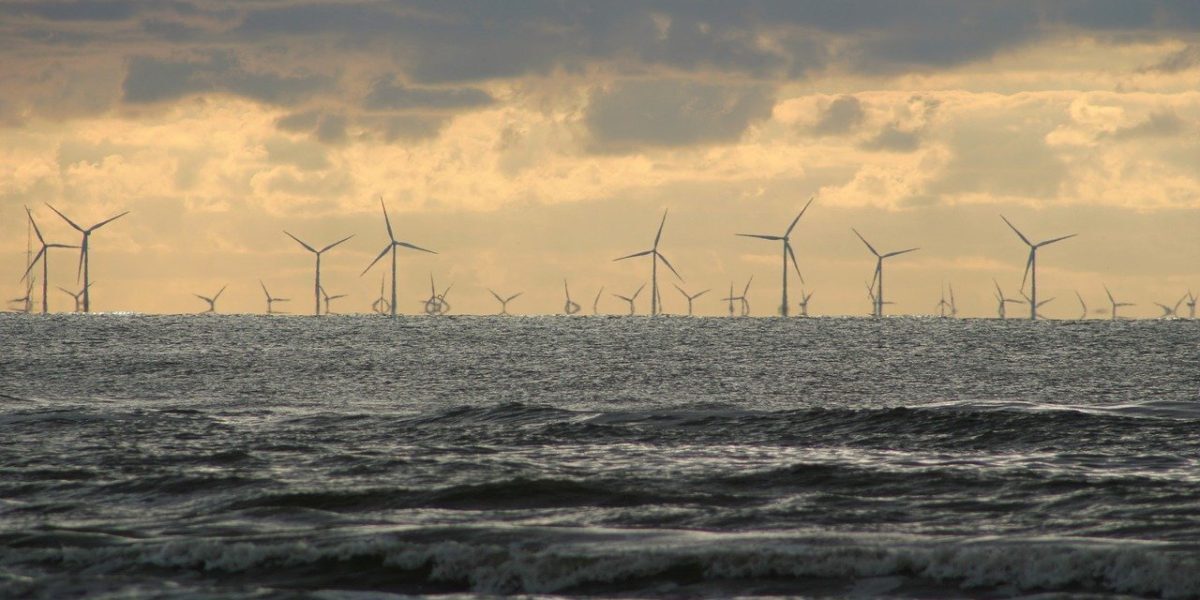 Guvernul deschide Marea Neagră pentru eoliene offshore