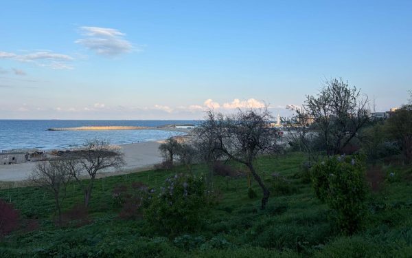 Dobrogea și Litoral: Vreme frumoasă, temperaturi normale