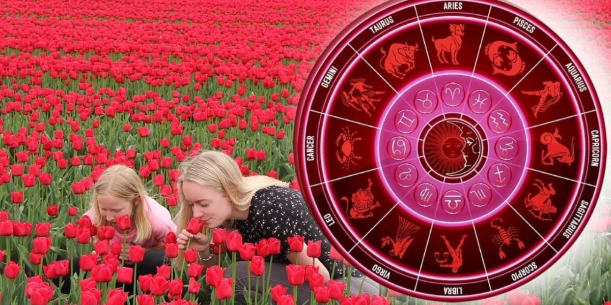 Horoscop 9 august 2026: Opriți-vă și întrebați