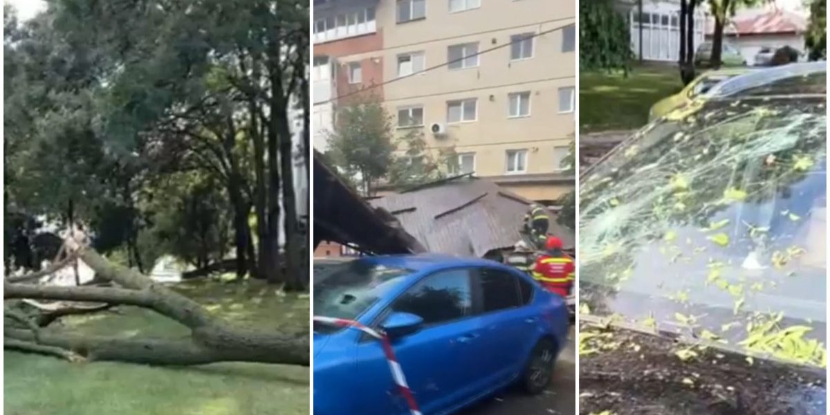 Vânt năprasnic: Copaci puși la pământ, acoperișuri peste mașini