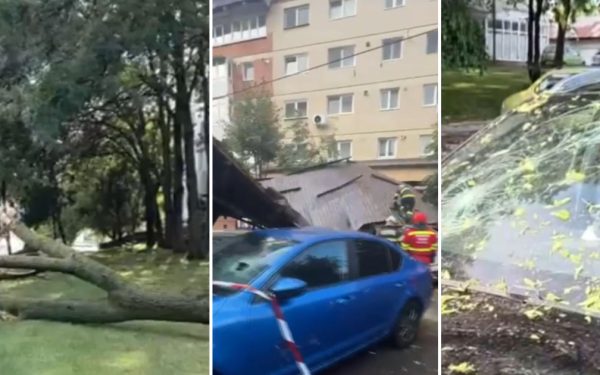 Vânt năprasnic: Copaci puși la pământ, acoperișuri peste mașini