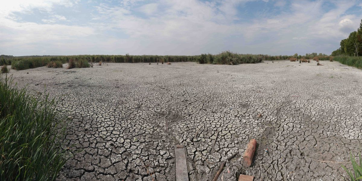 Seceta persistentă: Ploile de vară, o iluzie. Climatolog explică
