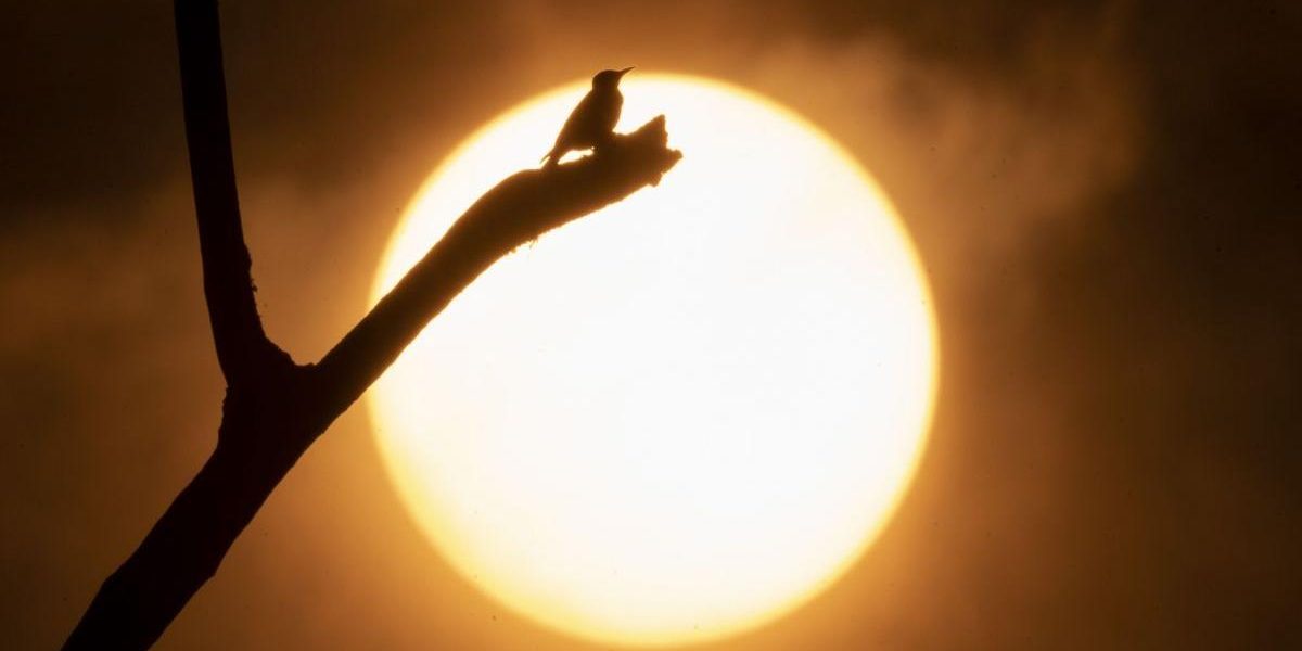 Alertă meteo: Anomalii oceanice schimbă iarna 2026-2027