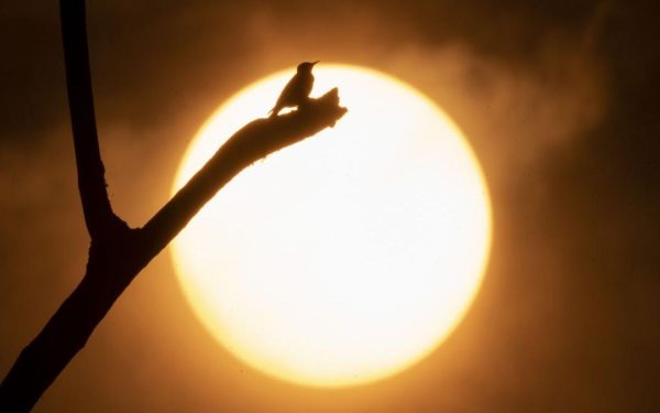 Alertă meteo: Anomalii oceanice schimbă iarna 2026-2027
