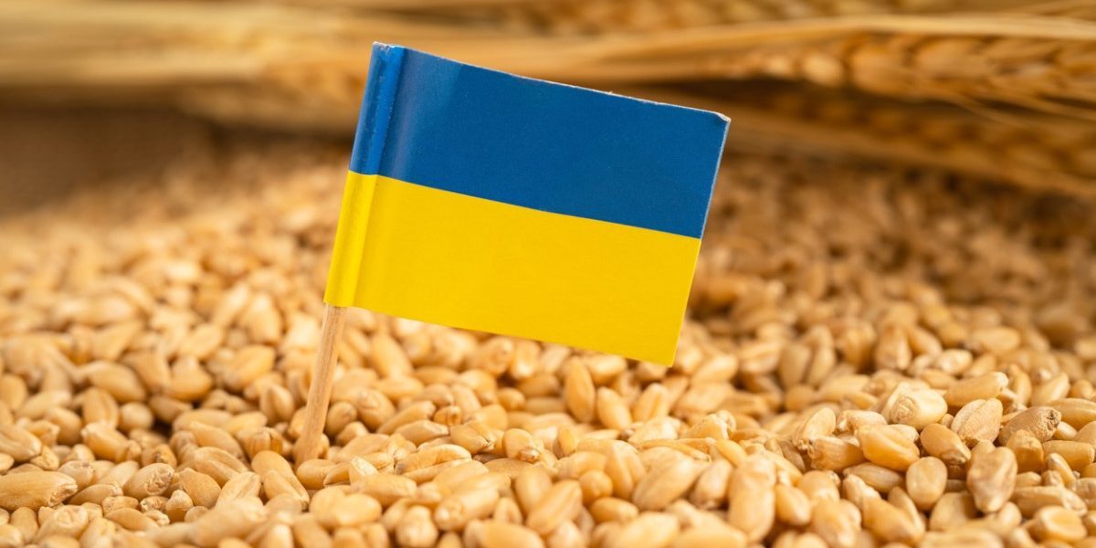 Fermierii cer control cereale ucrainene și protecție