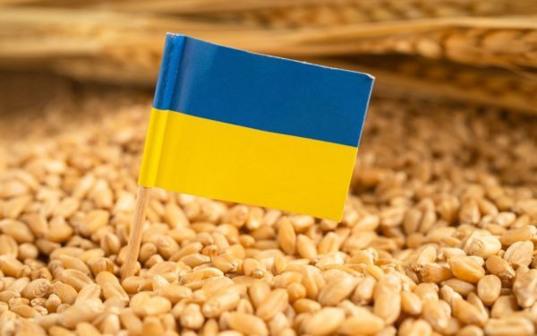 Fermierii cer control cereale ucrainene și protecție