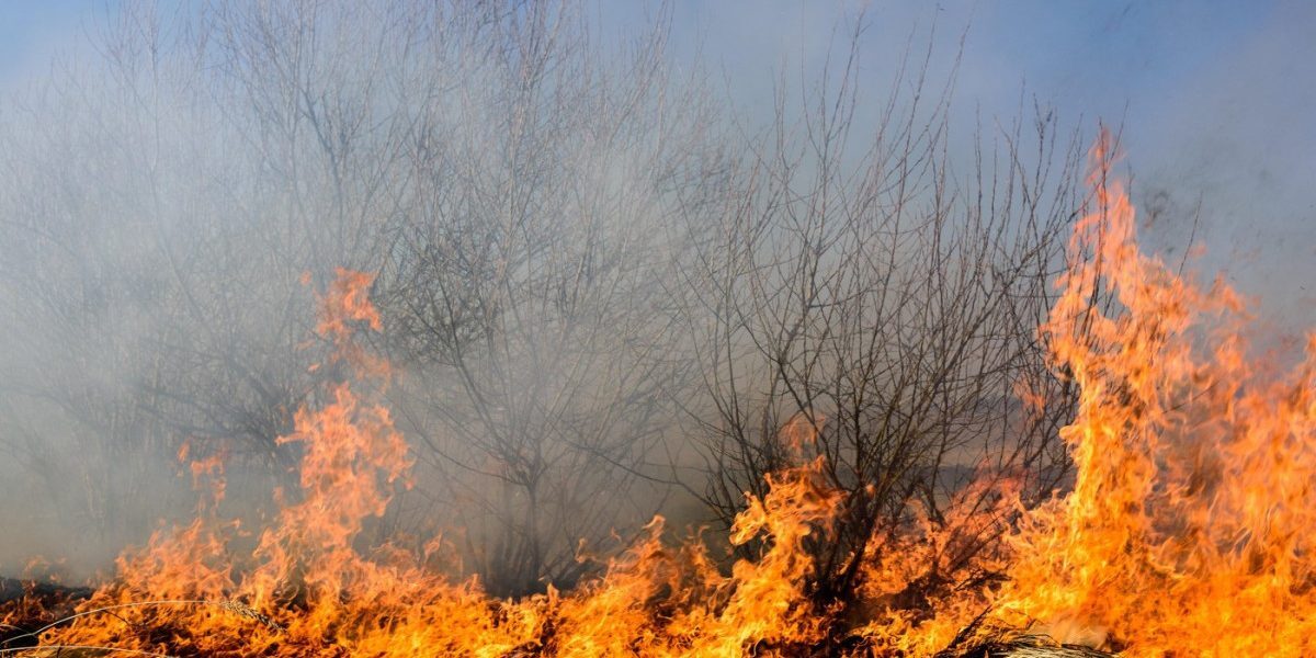 Caraș-Severin: Incendii Focul a izbucnit din nou. Intervenție masivă