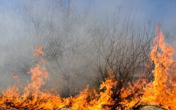 Caraș-Severin: Incendii Focul a izbucnit din nou. Intervenție masivă