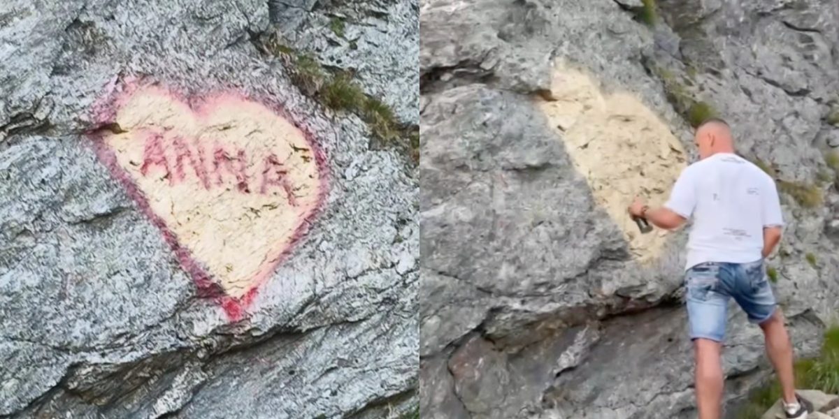 ANNA, dragoste pe Transfăgărășan: Ursul-artist, amendat masiv