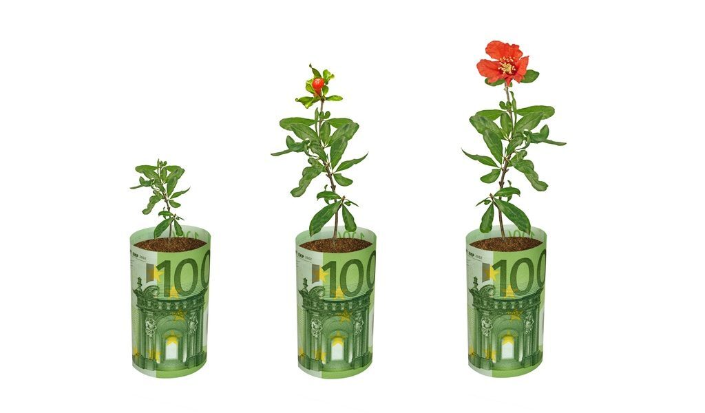 Fonduri UE: Fermieri și grădinari, 100.000 EUR pentru flori și plante