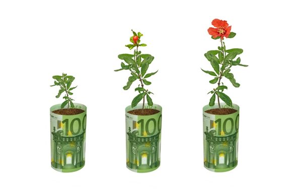 Fonduri UE: Fermieri și grădinari, 100.000 EUR pentru flori și plante