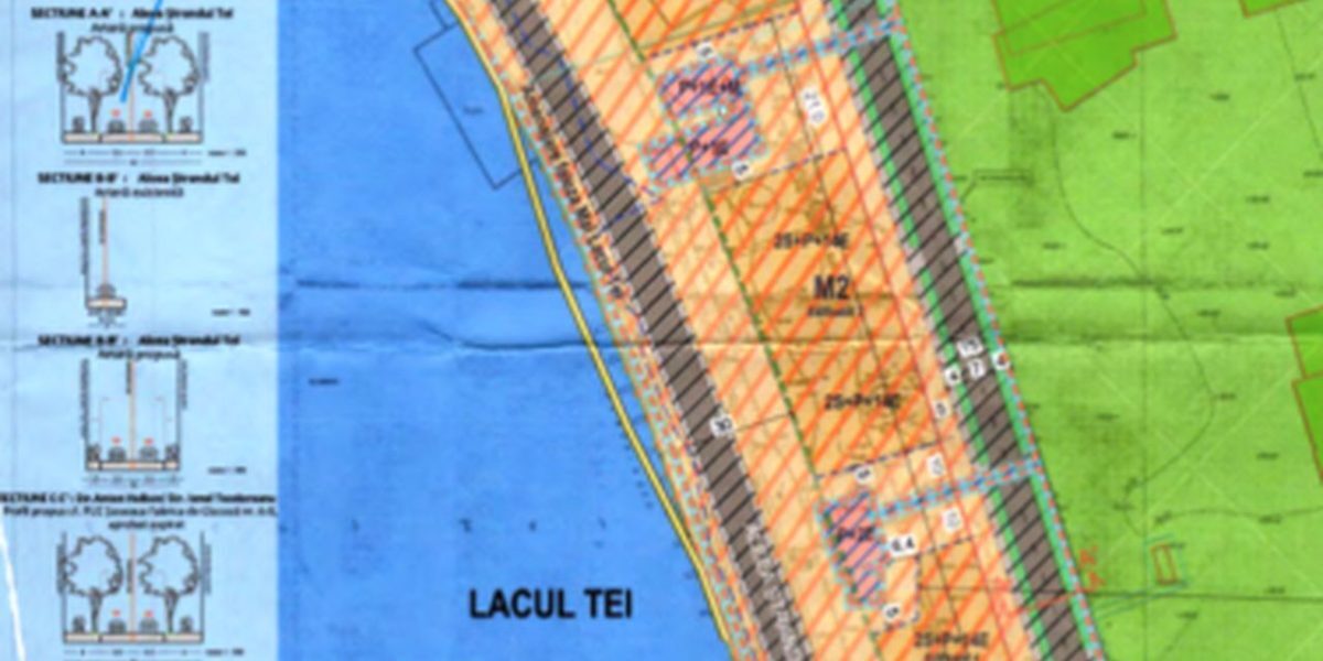 Borcea dă undă verde turnurilor pe malul Lacului Tei
