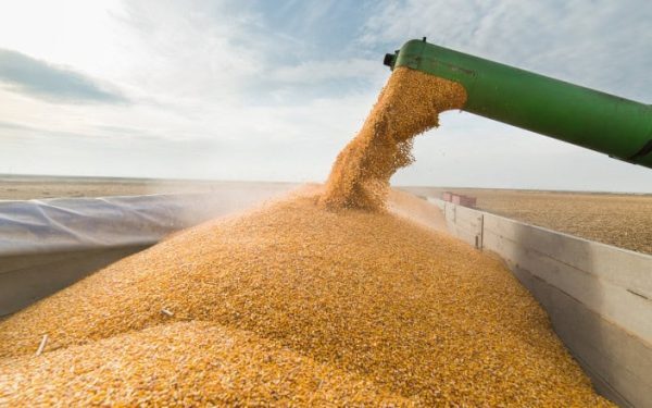 Ucraina mută cereale spre Constanța pe calea ferată prin Moldova