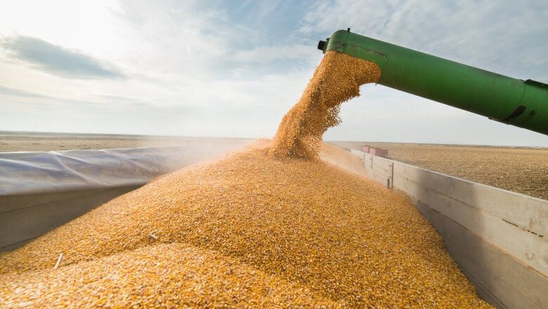 Ucraina mută cereale spre Constanța pe calea ferată prin Moldova