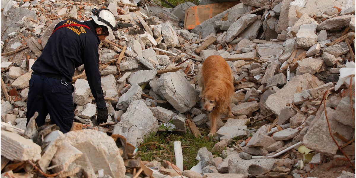 Tragedie: Peste 20 de morți într-un cumplit accident