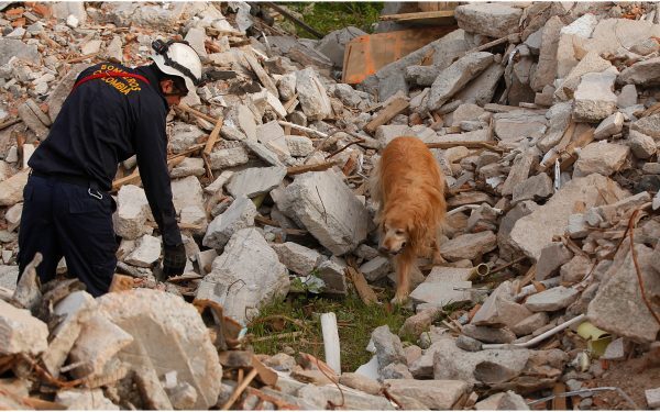 Tragedie: Peste 20 de morți într-un cumplit accident