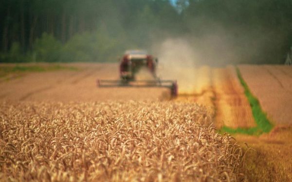 Ucraina cere UE 220 mil. euro pentru fermierii afectați