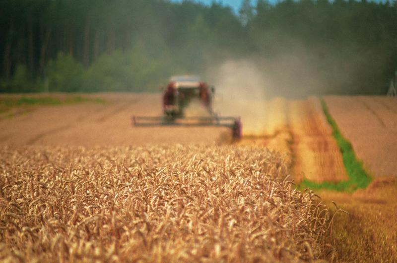 Ucraina cere UE 220 mil. euro pentru fermierii afectați