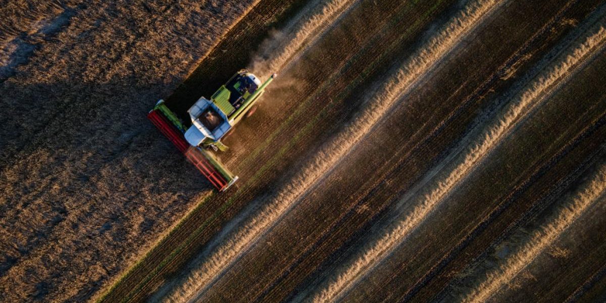 Fermierii ucraineni, victoria amară: Recolte bogate, marfă nevândută