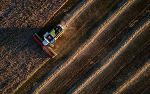 Fermierii ucraineni, victoria amară: Recolte bogate, marfă nevândută