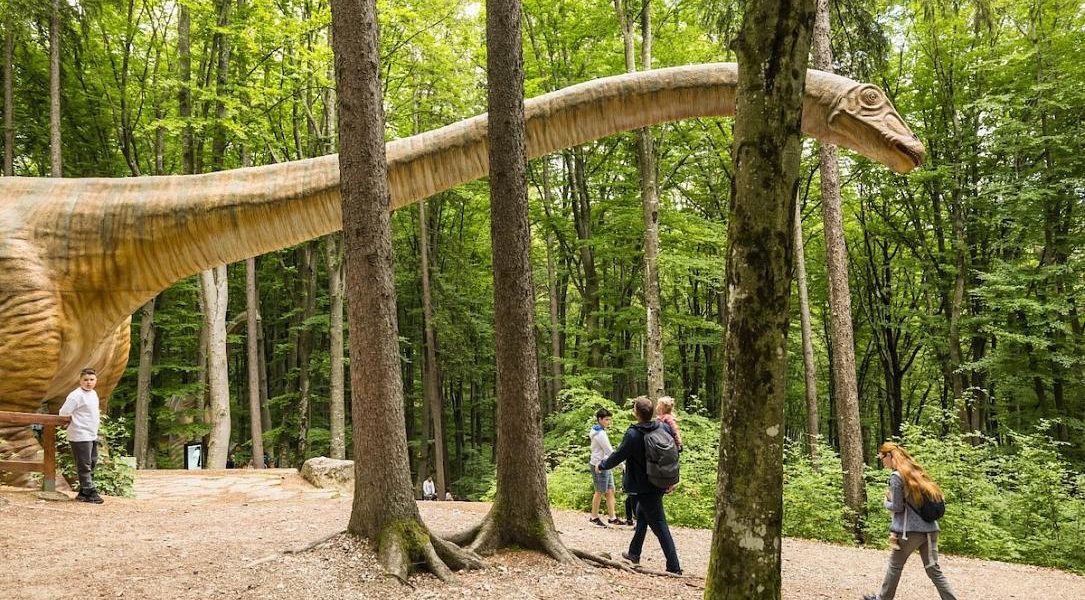 Dino Parc Râșnov, 4,5 milioane vizitatori, 130 mil. euro impact economic