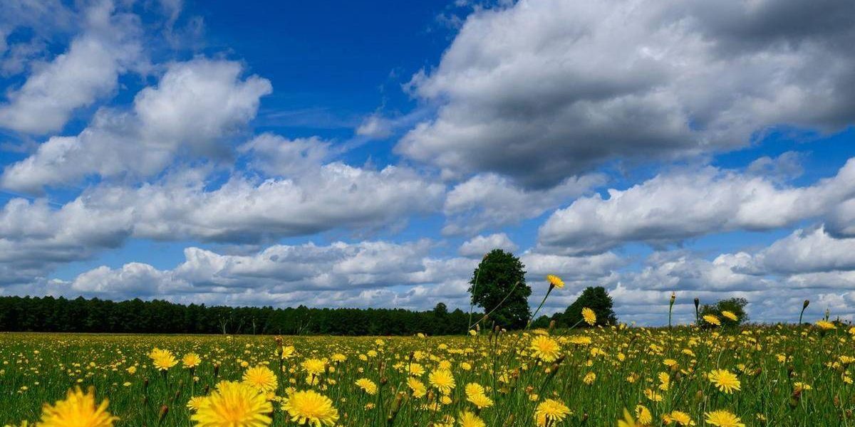 Caniculă, pauză scurtă: 36 de grade în weekend