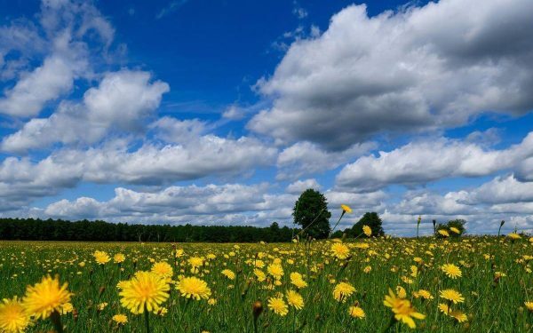 Caniculă, pauză scurtă: 36 de grade în weekend