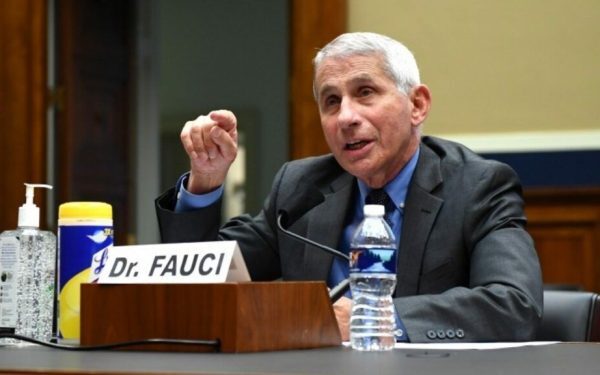 Fauci, controverse vaccin COVID-19: Sarcina, riscuri spontane