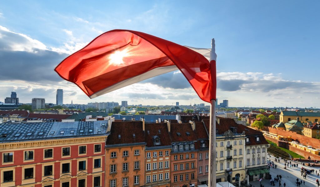Pumă în Polonia? Vânătorii anunță prezența felinelor periculoase