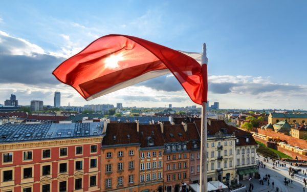 Pumă în Polonia? Vânătorii anunță prezența felinelor periculoase