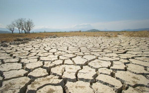 Secetă cruntă în Nordul României