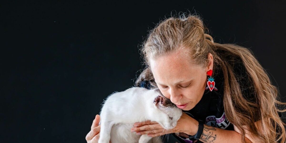 Pet Shop: 8 din 10 clienți cumpără pentru pisici