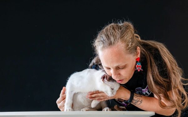 Pet Shop: 8 din 10 clienți cumpără pentru pisici