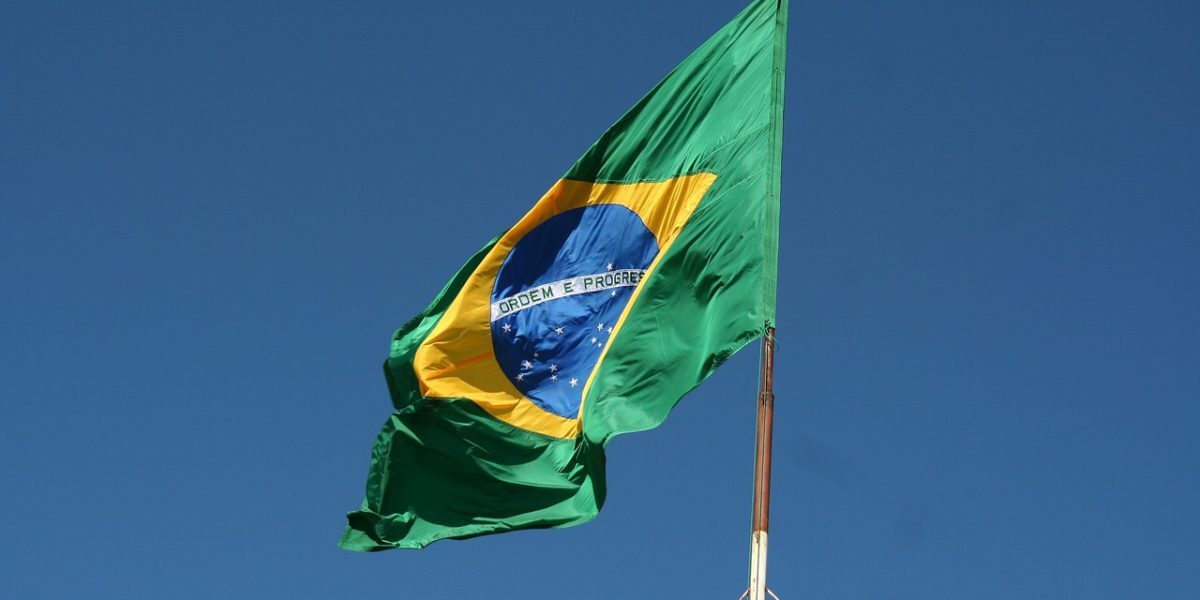 Brazilia, poarta noastră spre Mercosur: Statistica confirmă