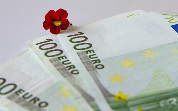 AFIR: 5 MILIOANE EUR fermierilor pentru flori și plante de la 1 septembrie