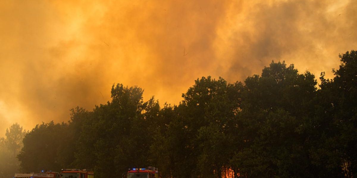 Incendii Bordeaux: Pârjol intenționat? Sute de arestați, inclusiv un adolescent