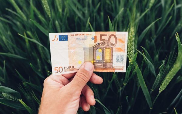 Fermierii români, 50.000 EUR: Ghid AFIR cu grila de punctaj