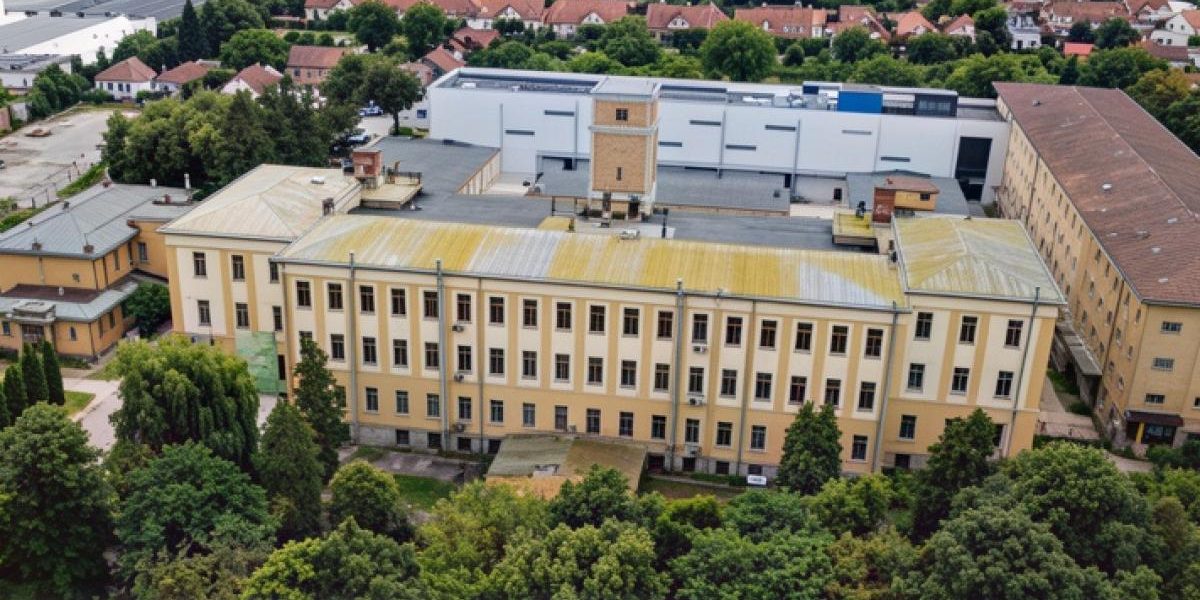 Fabrica CARPAȚI-SNAGOV din Sf. Gheorghe, reinventată științific pentru tineri