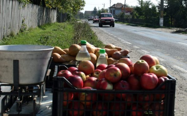 Poliția dă amenzi comercianților ilegali de legume și fructe