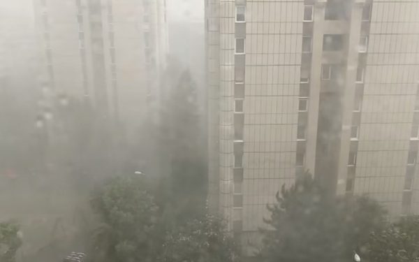 Furtuna a făcut prăpăd în Brașov: copaci căzuți, garaje inundate